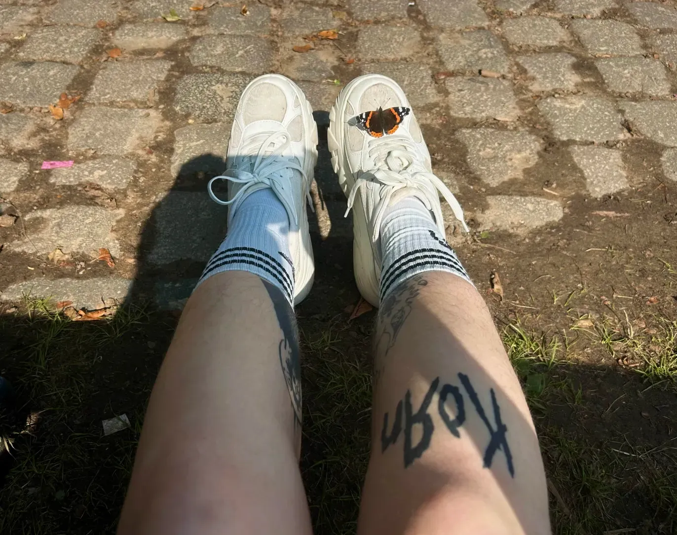 A photograph of a person's legs, a Korn tattoo under the right knee, and a butterfly sitting on their shoe.