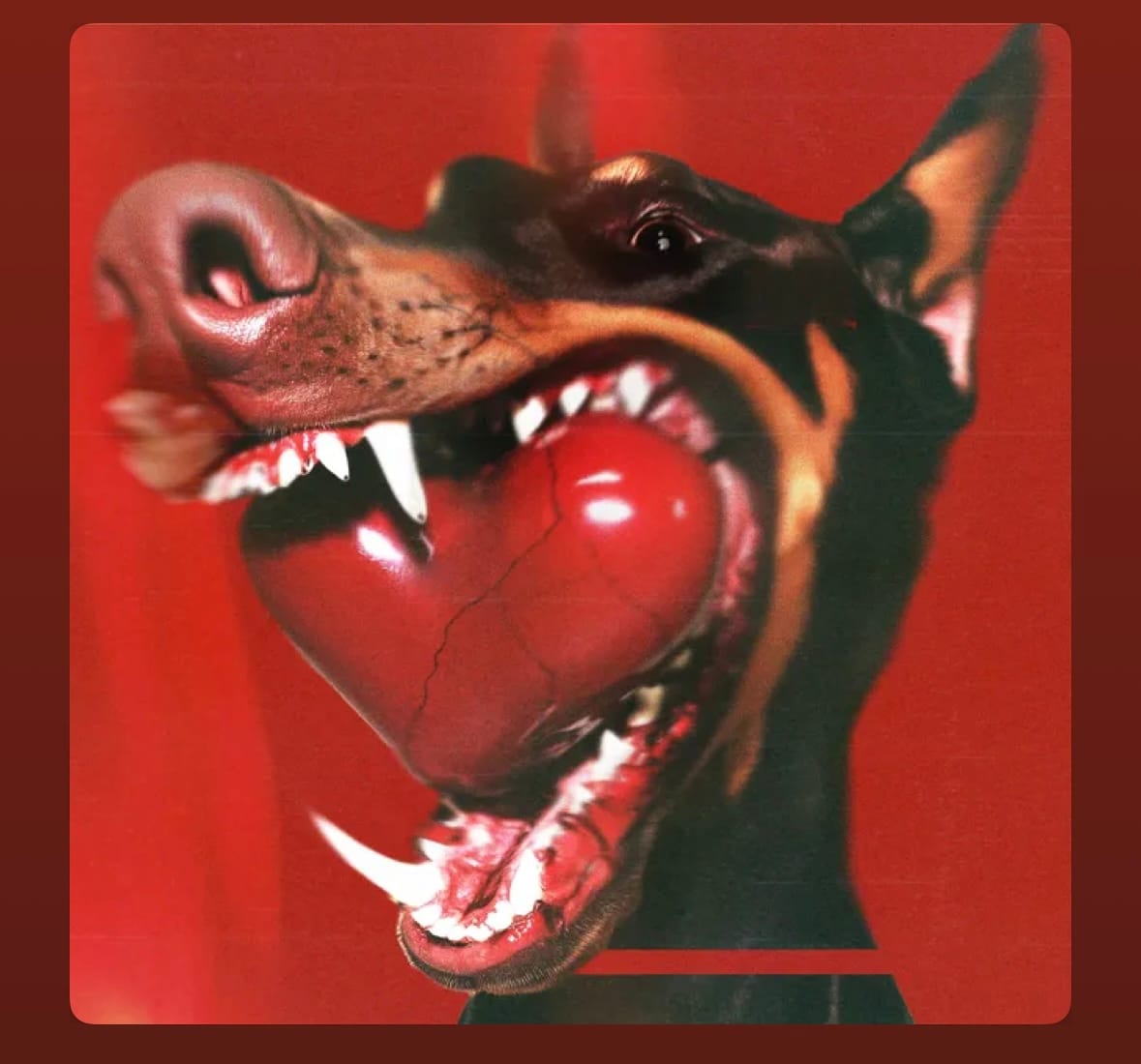 Paledusk Drop New Single 