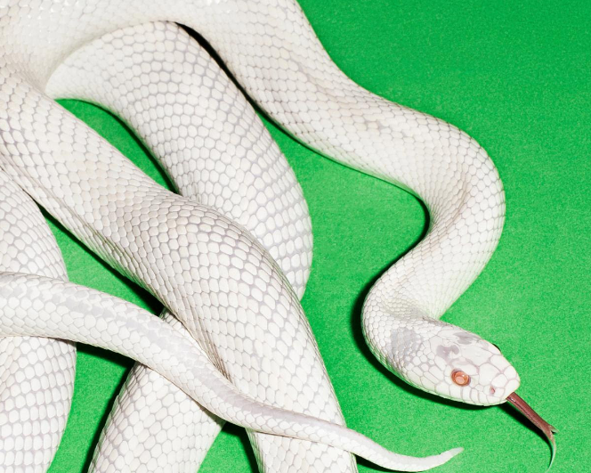 Deftones' 'private music.' Debuts At Number 5 On The Billboard 200